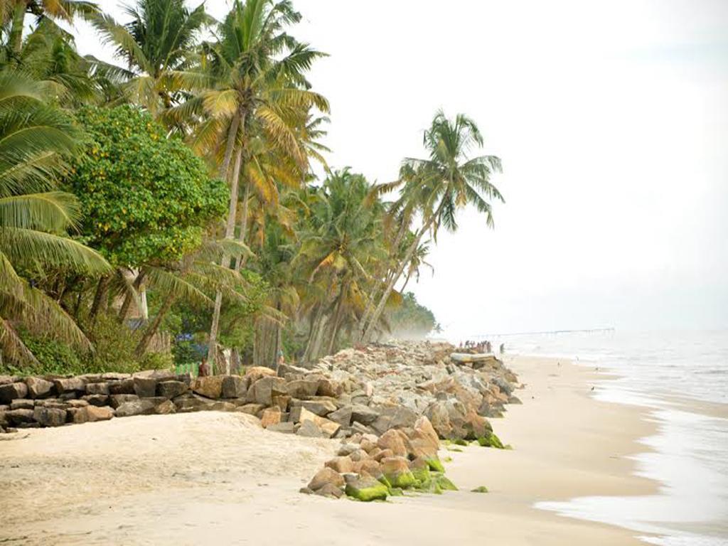 Angeo Beach House Alappuzha Номер фото